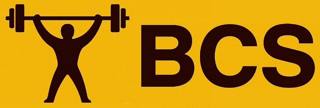 basicchanvesolution.cc